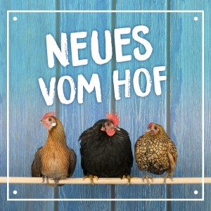 BUWI_Neues1_Webkachel_1080x1080px3_1920x1920