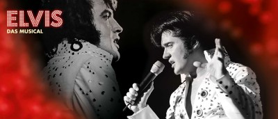 ELVIS_1920x820-color