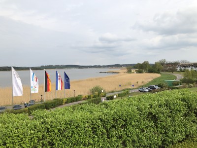 IMG_0011