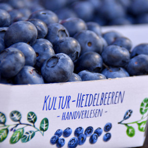 heidelbeeren-hofladen