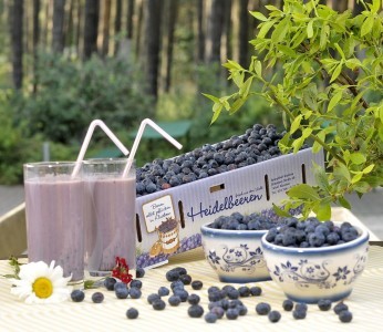heidelbeermilch_kuchen_waffeln_eierkuchen_windbeutel_eis_muffins_mit_heidelbeeren_kaffee_spargelhof_klaistow-346x300